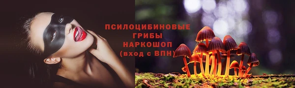 амф Ладушкин
