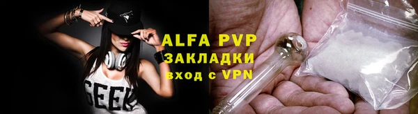 амф Ладушкин