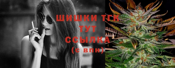 амф Ладушкин