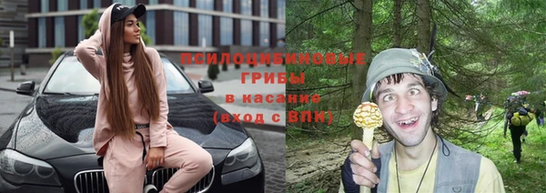 гашик Лагань