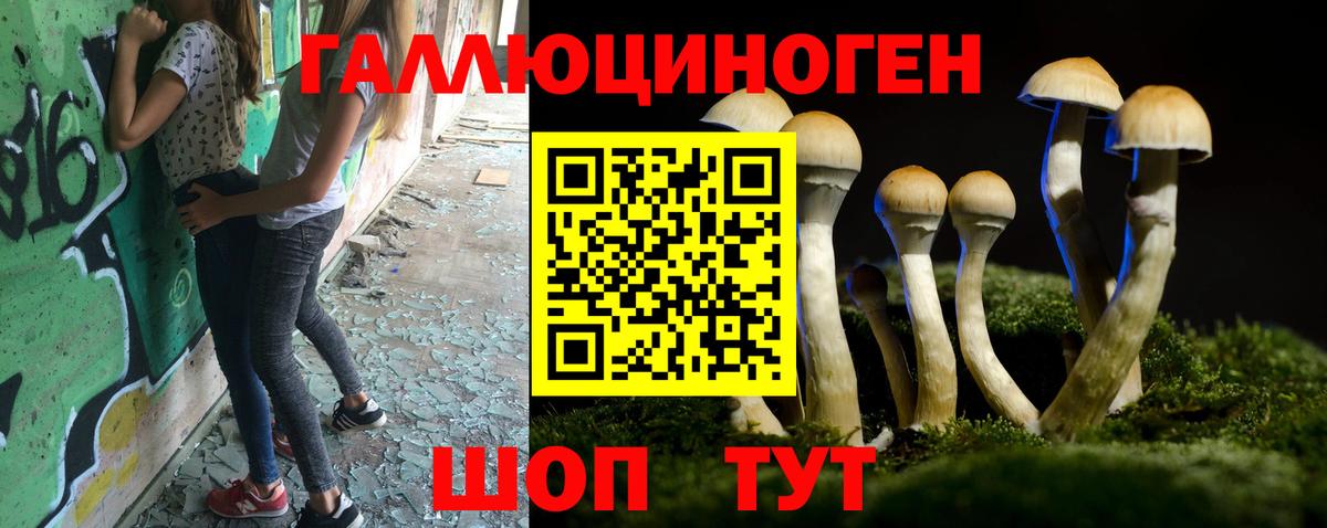 Псилоцибиновые грибы прущие грибы  цены наркотик  Пыть-Ях 