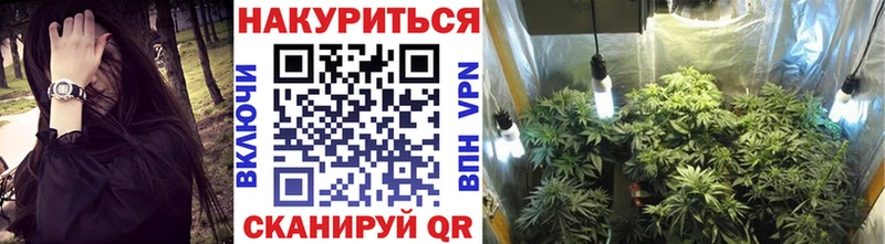 Бошки марихуана ГИДРОПОН  Пыть-Ях 